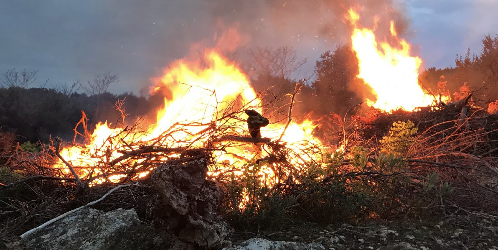 Požar u Jasenoviku - ogledalo promjena u našem krajoliku